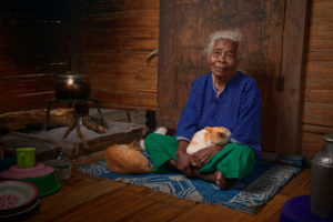 an-elderly-woman-sitting-with-a-white-and-orange-cat