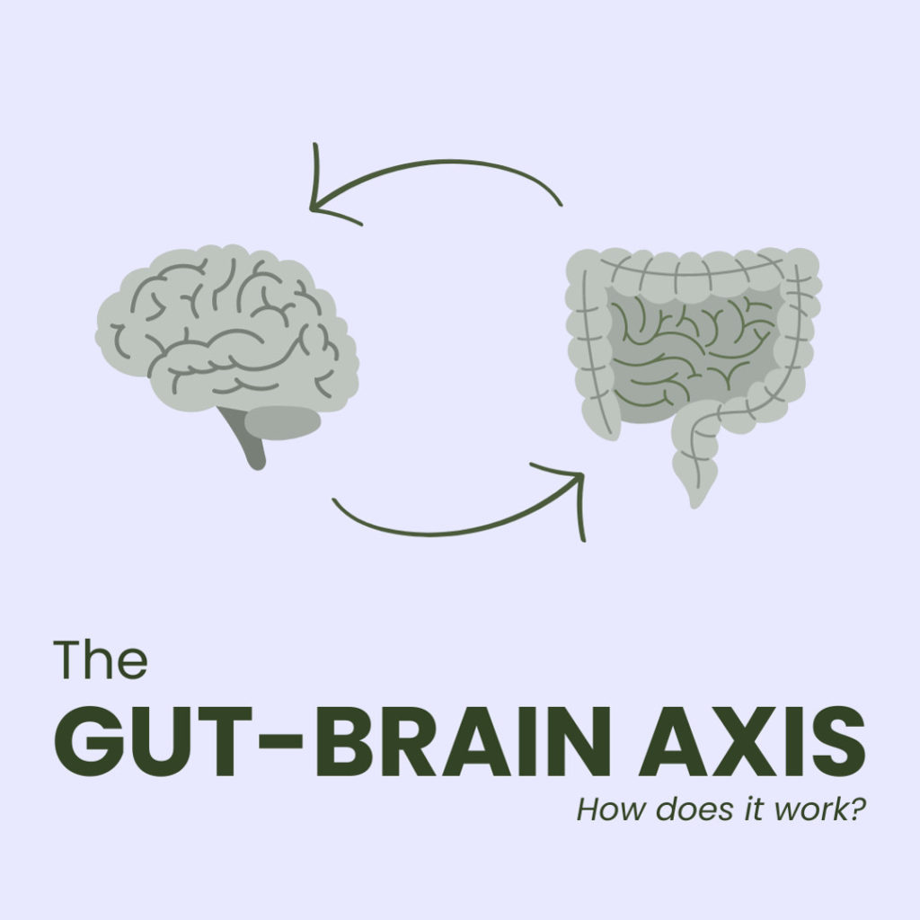 The-Gut-Brain-Axis-How-Does-It-Work-thumbnail