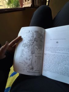 muqadsa-is-reading-a-book-by-the-window-sunlight-is-falling-softly-over-the-pages