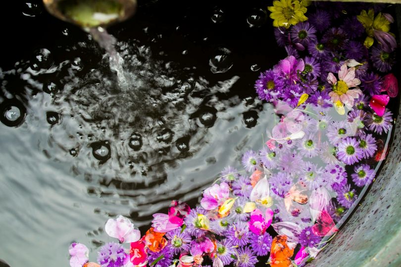 flowers-floating-in-water