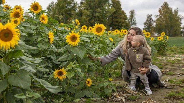 mother-and-baby-boy-looking-at-a-sunflower-field