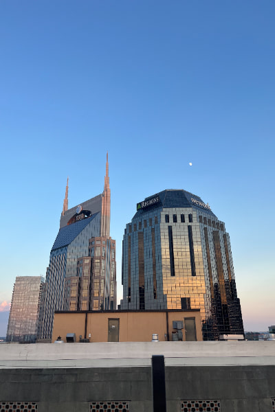 a-view-of-the-nashville-skyline