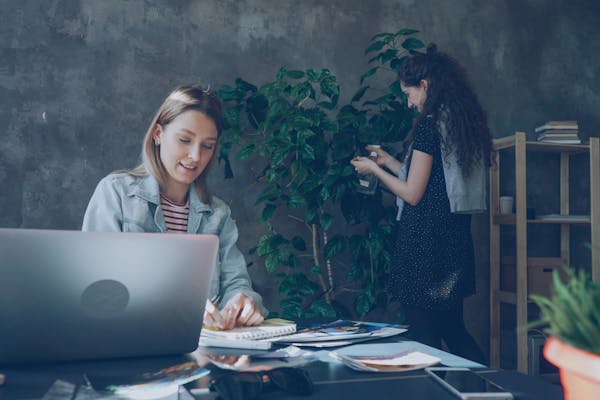 collaborative-office-work-with-indoor-plants